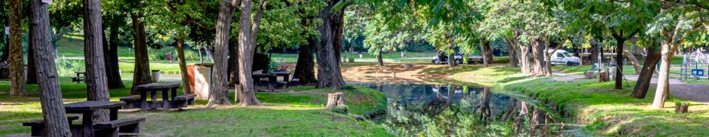 Le lac du moulin