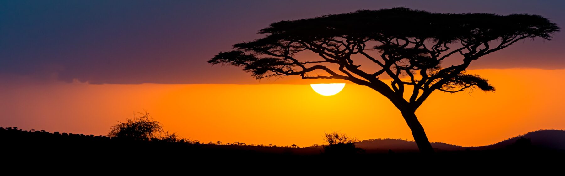 Sénégal Soler Soleil