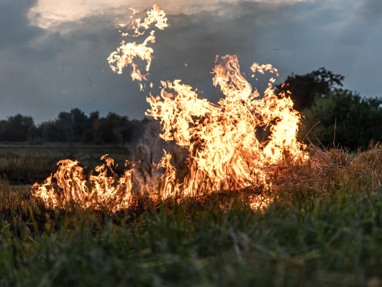 stratégie_de_défense_des_forêts_contre_les_incendies