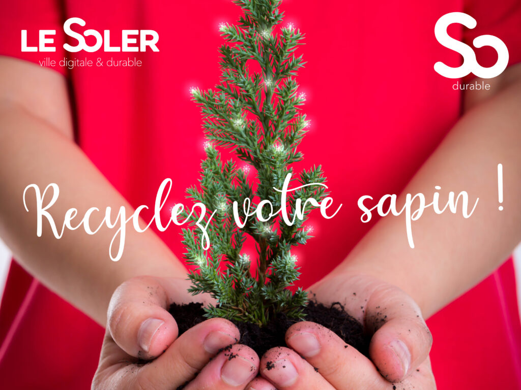 Recyclage de sapins de noel ville Le soler