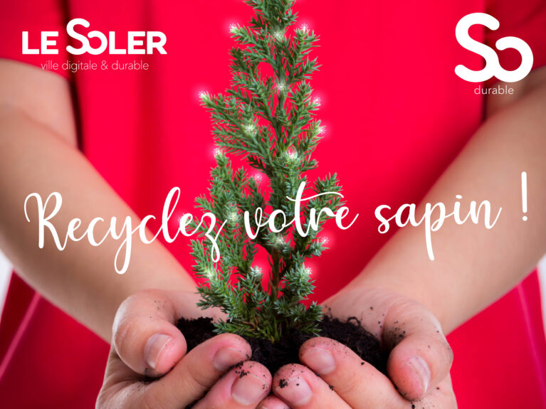 Recyclage de sapins de noel ville Le soler