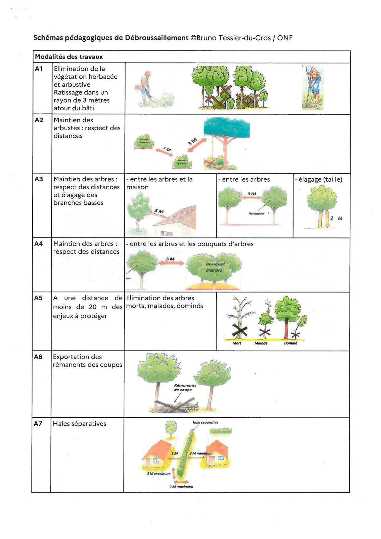 stratégie_de_défense_des_forêts_contre_les_incendies