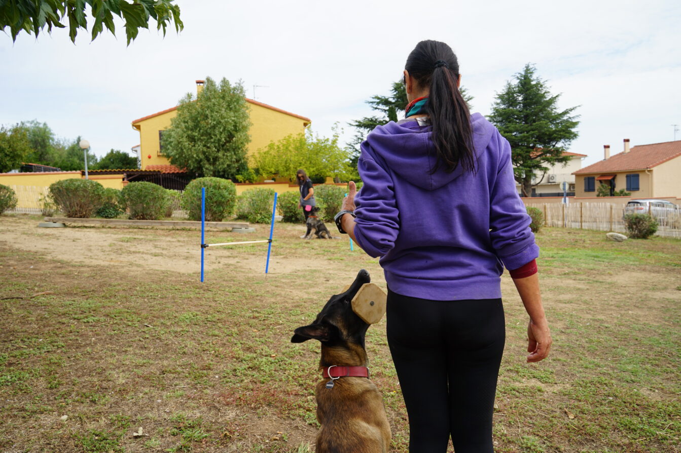 Carte des Parcs canin, canisites et bornes de propreté hygiène canine