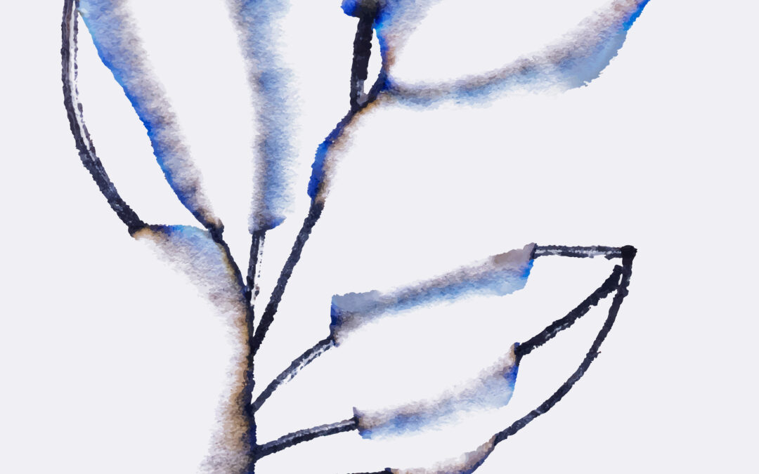 Exposition de Cyanotypes